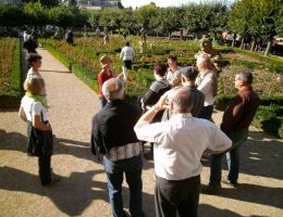 Sonne im Rosengarten.JPG