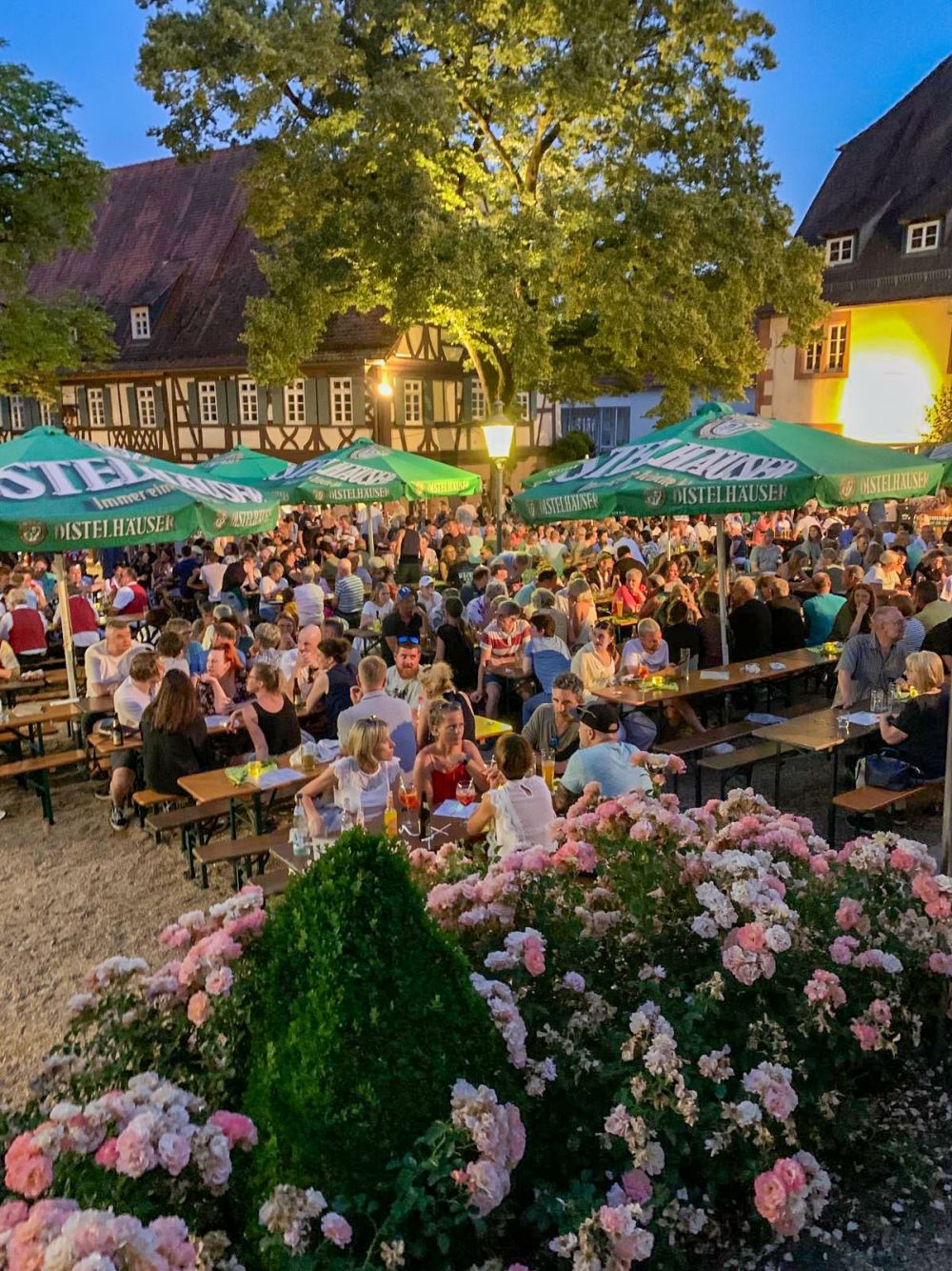 Voller Museumshof Blick von der Treppe