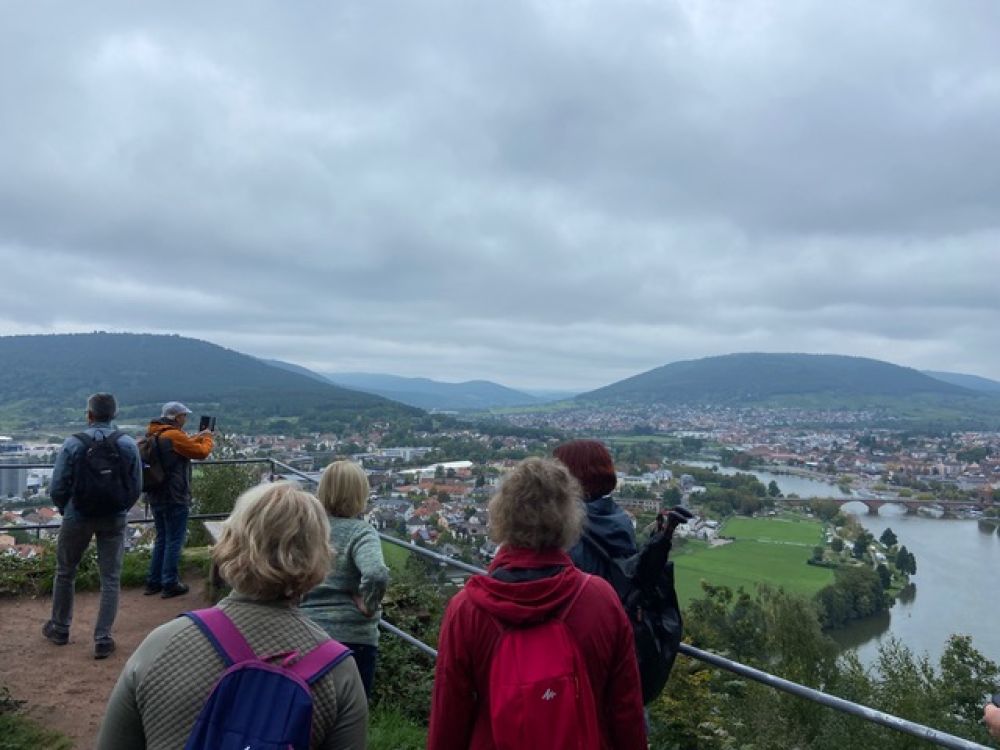 Blick von der Miltenburg