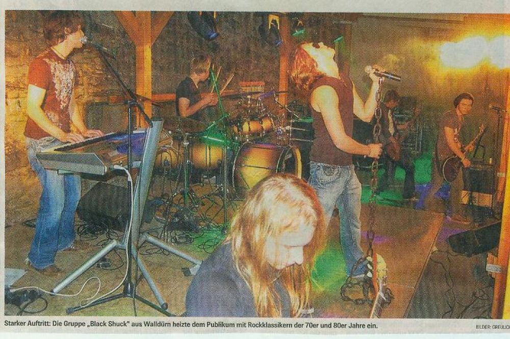 2010 Rock im Museumshof mit der Gruppe Black Shuck